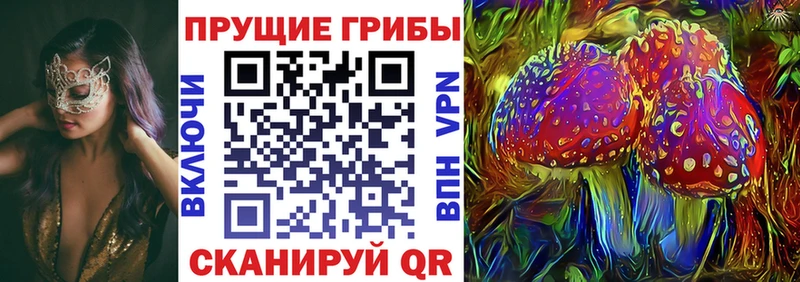 Купить где  Усть-Джегута  Псилоцибиновые грибы Psilocybine cubensis 